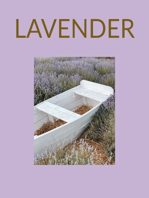 lavender